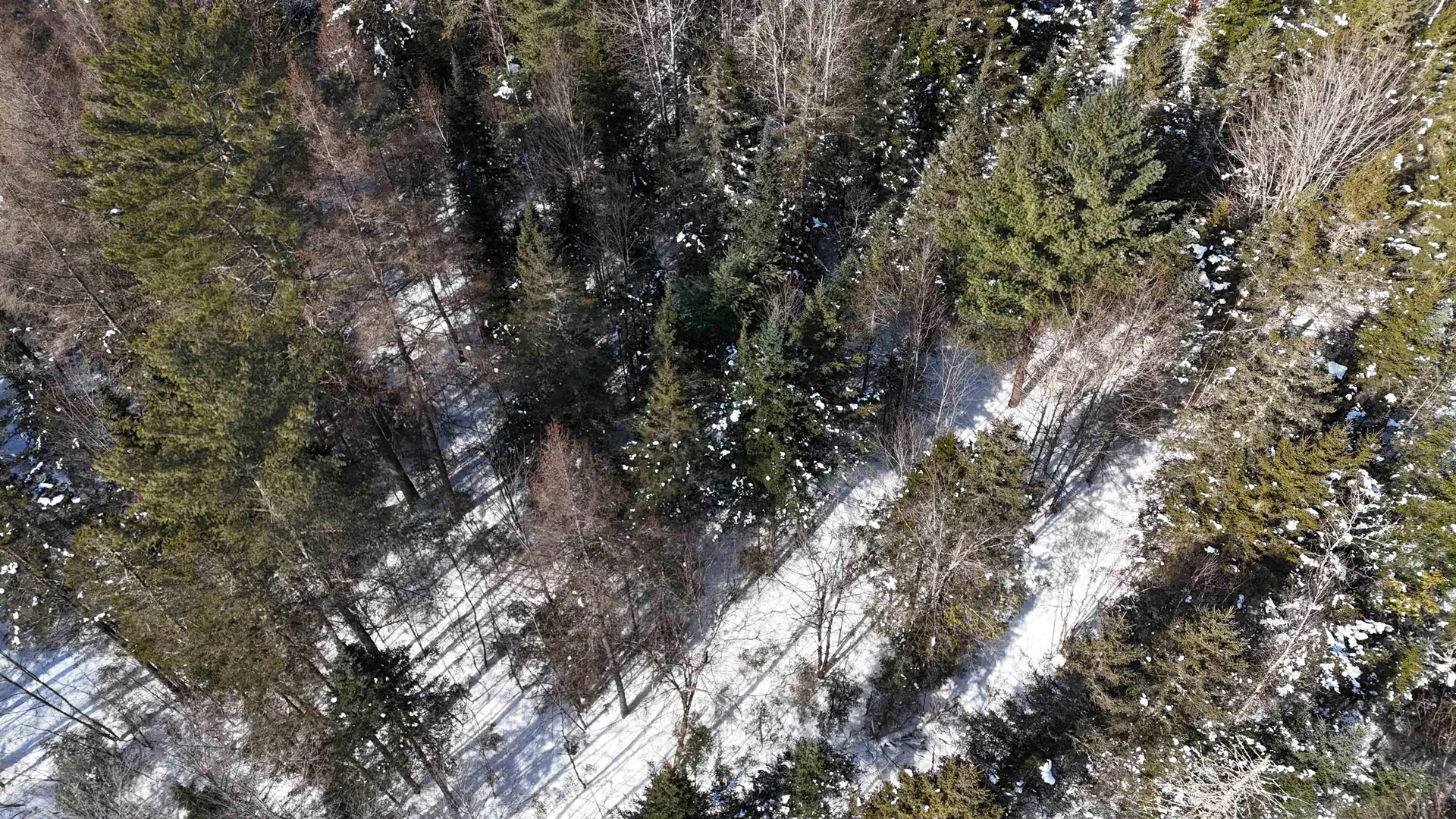 00 Marshall Newland Road Burke VT 05832