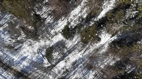 00 Marshall Newland Road Burke VT 05832