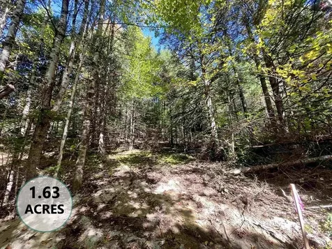 00 Marshall Newland Road Burke VT 05832