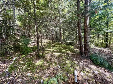 00 Marshall Newland Road Burke VT 05832