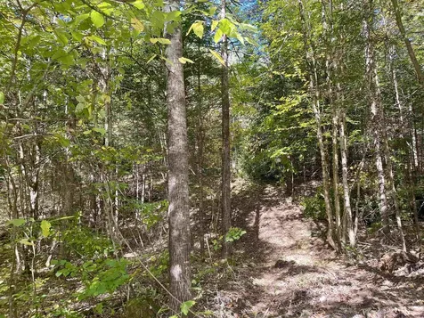 00 Marshall Newland Road Burke VT 05832