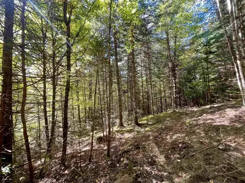 00 Marshall Newland Road Burke VT 05832