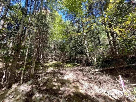 00 Marshall Newland Road Burke VT 05832