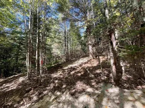 00 Marshall Newland Road Burke VT 05832