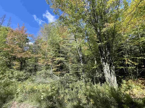 00 Marshall Newland Road Burke VT 05832