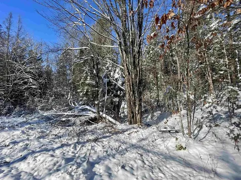 00 Marshall Newland Road Burke VT 05832