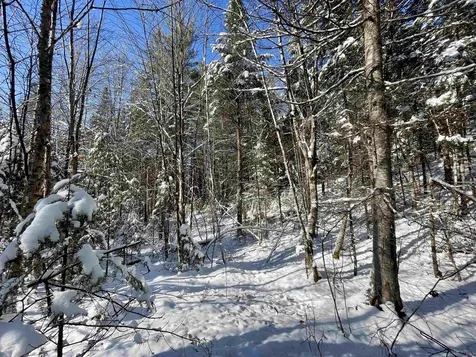 00 Marshall Newland Road Burke VT 05832