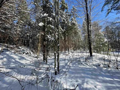 00 Marshall Newland Road Burke VT 05832