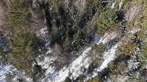 00 Marshall Newland Road Burke VT 05832