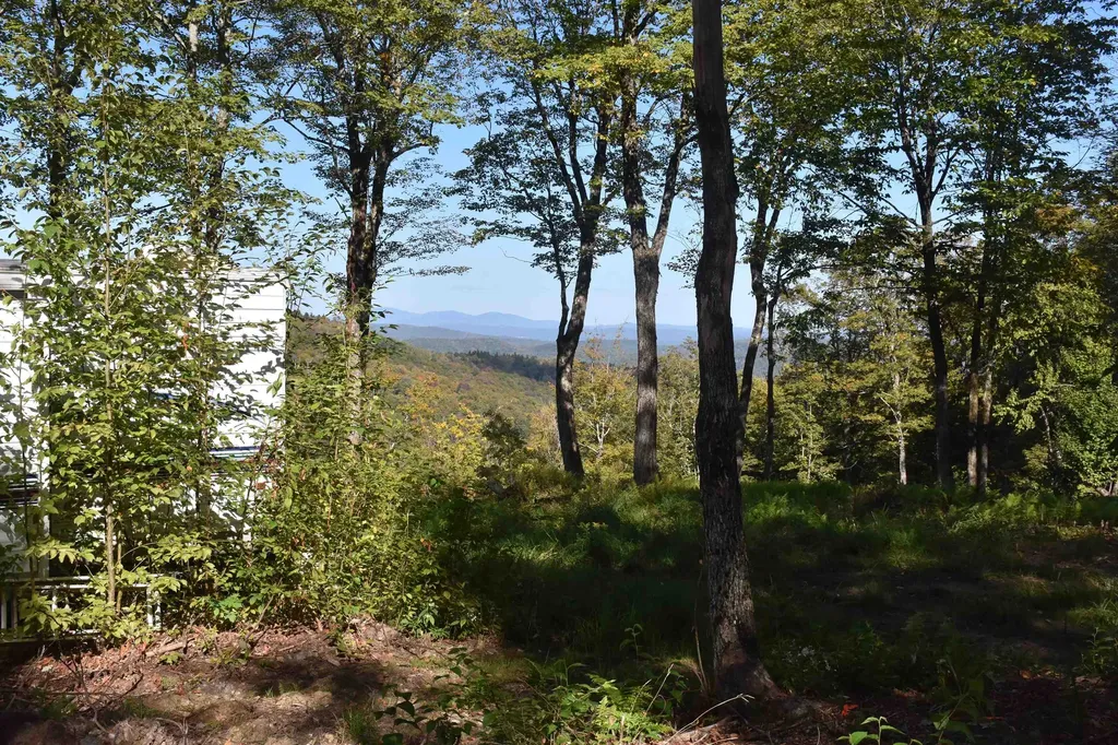 662 Belcher Road Roxbury VT 05669