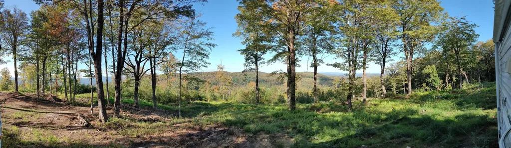 662 Belcher Road Roxbury VT 05669