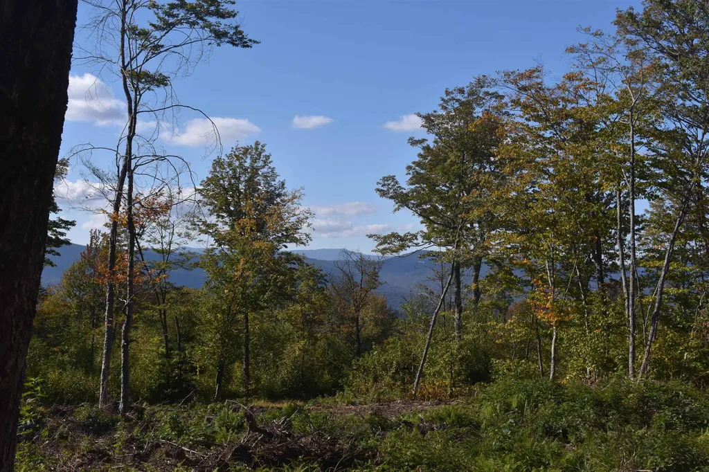 662 Belcher Road Roxbury VT 05669