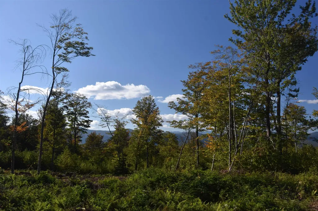 662 Belcher Road Roxbury VT 05669