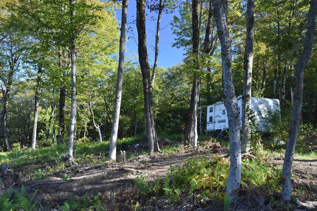 662 Belcher Road Roxbury VT 05669