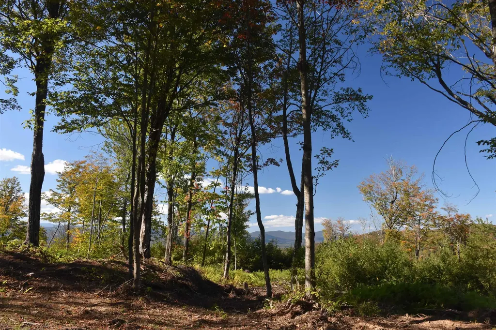 662 Belcher Road Roxbury VT 05669