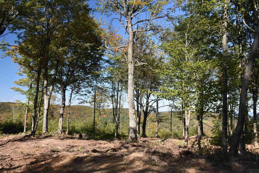 662 Belcher Road Roxbury VT 05669