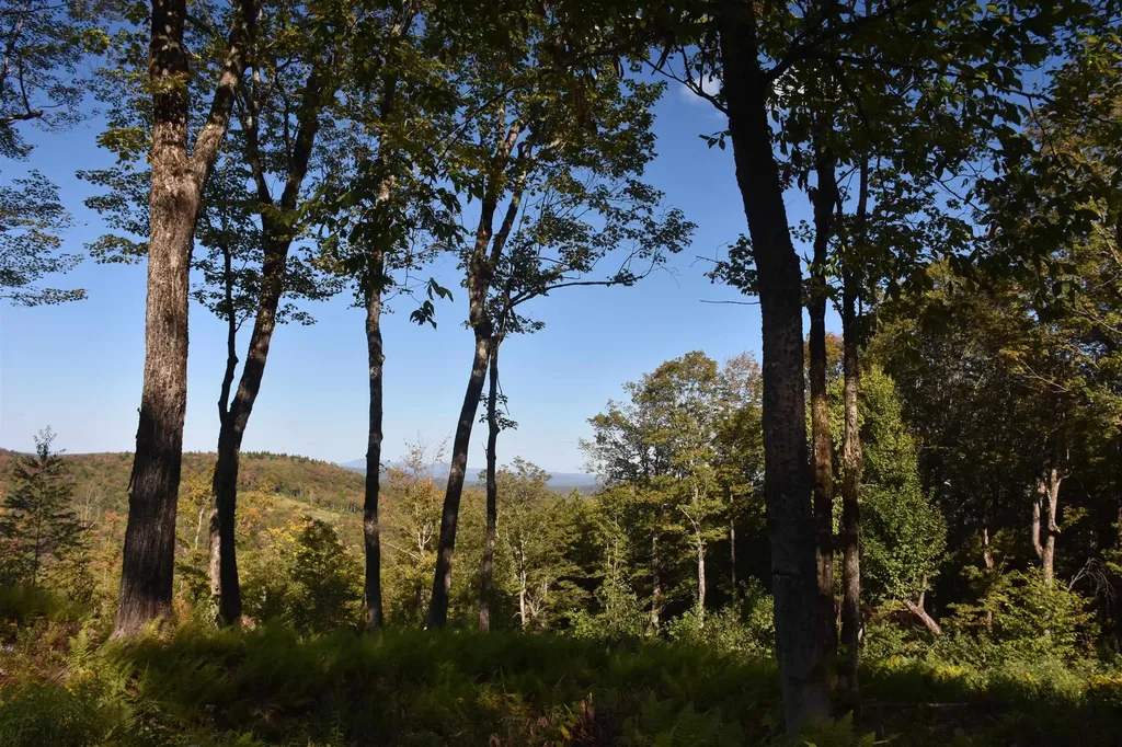 662 Belcher Road Roxbury VT 05669