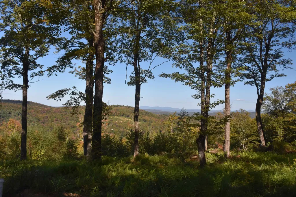 662 Belcher Road Roxbury VT 05669