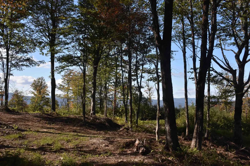 662 Belcher Road Roxbury VT 05669