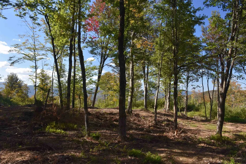 662 Belcher Road Roxbury VT 05669