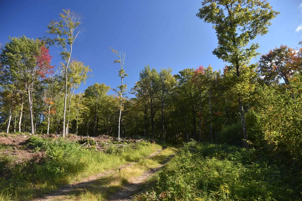 662 Belcher Road Roxbury VT 05669