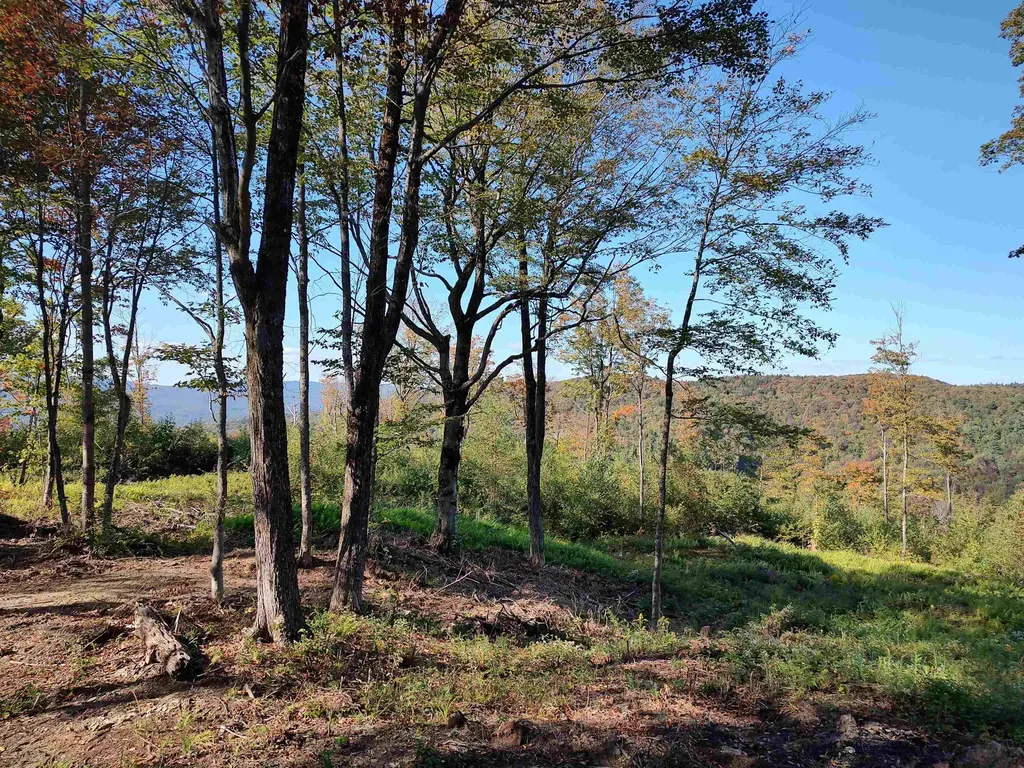 662 Belcher Road Roxbury VT 05669