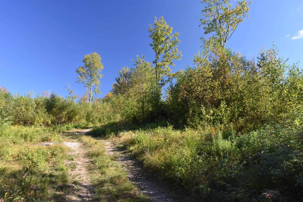 662 Belcher Road Roxbury VT 05669