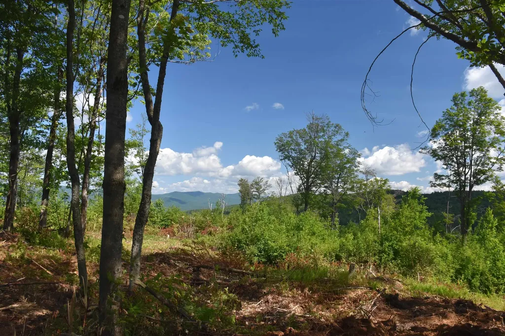 662 Belcher Road Roxbury VT 05669