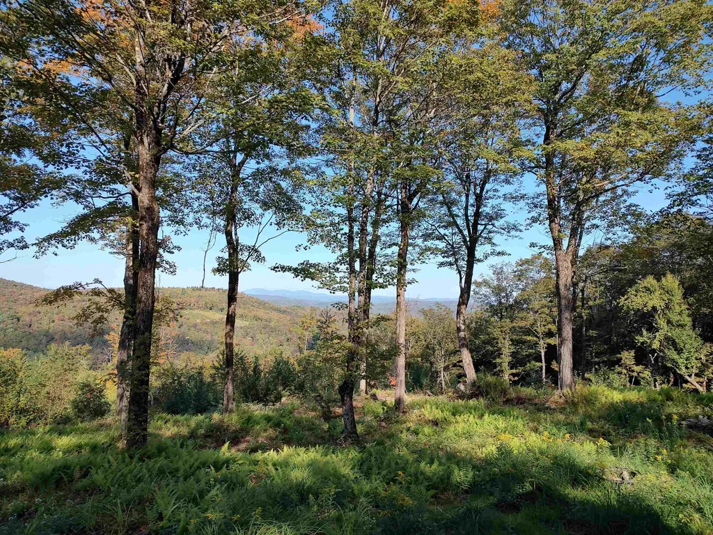 662 Belcher Road Roxbury VT 05669