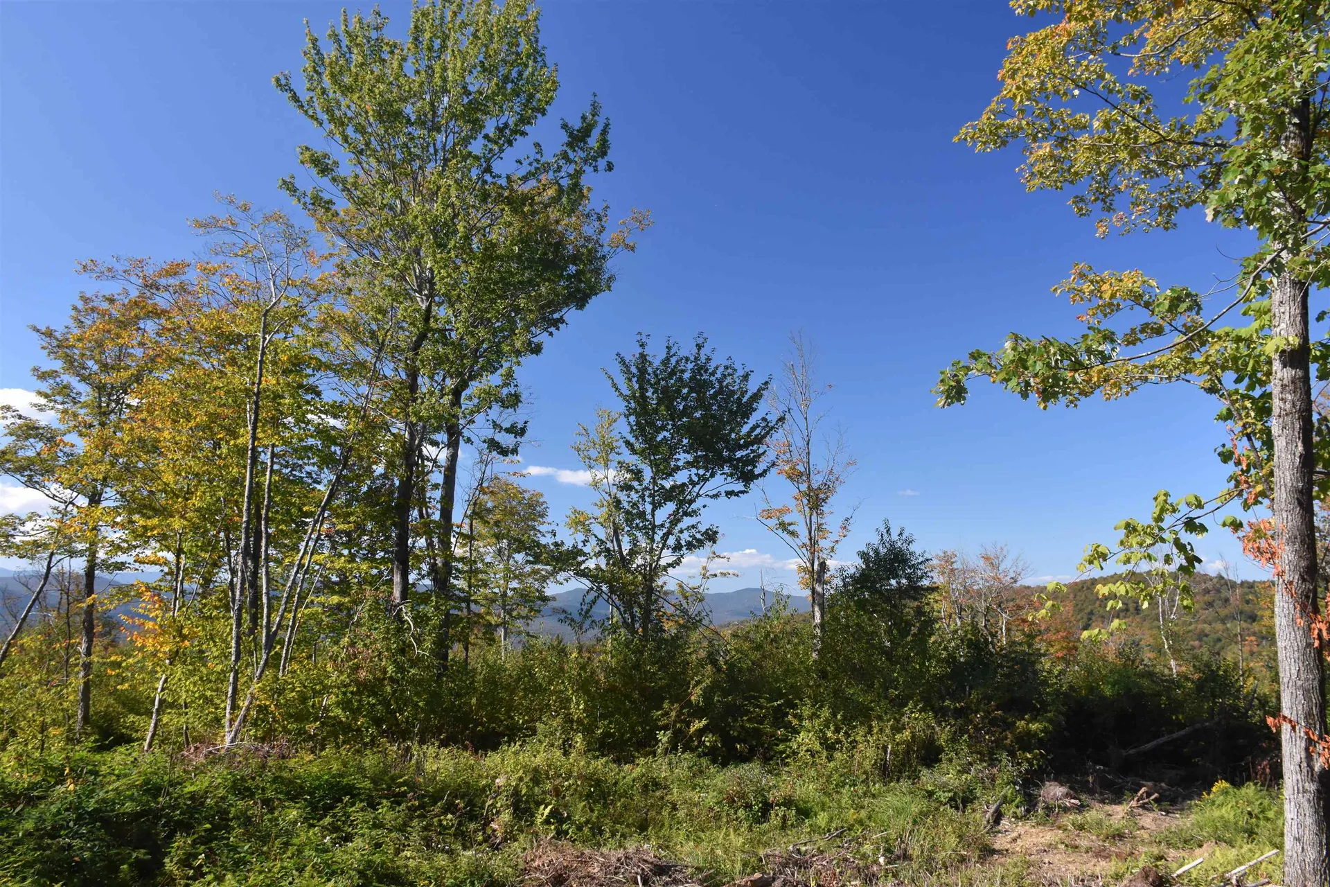 662 Belcher Road Roxbury VT 05669