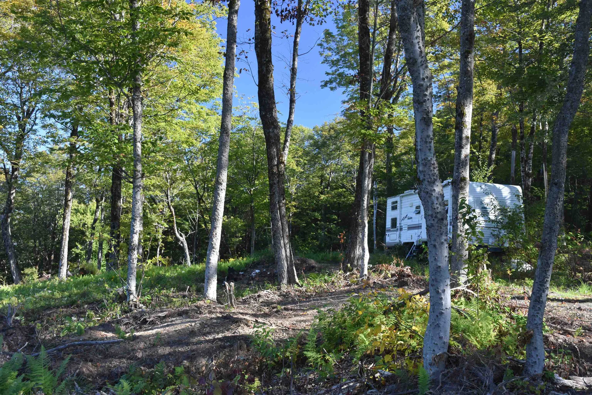 662 Belcher Road Roxbury VT 05669