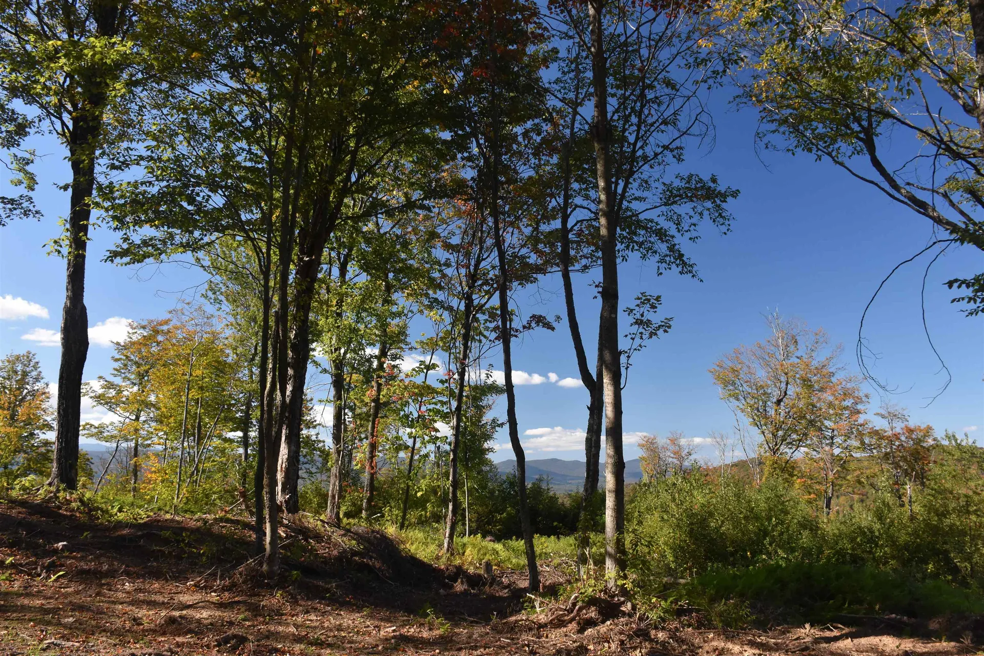 662 Belcher Road Roxbury VT 05669