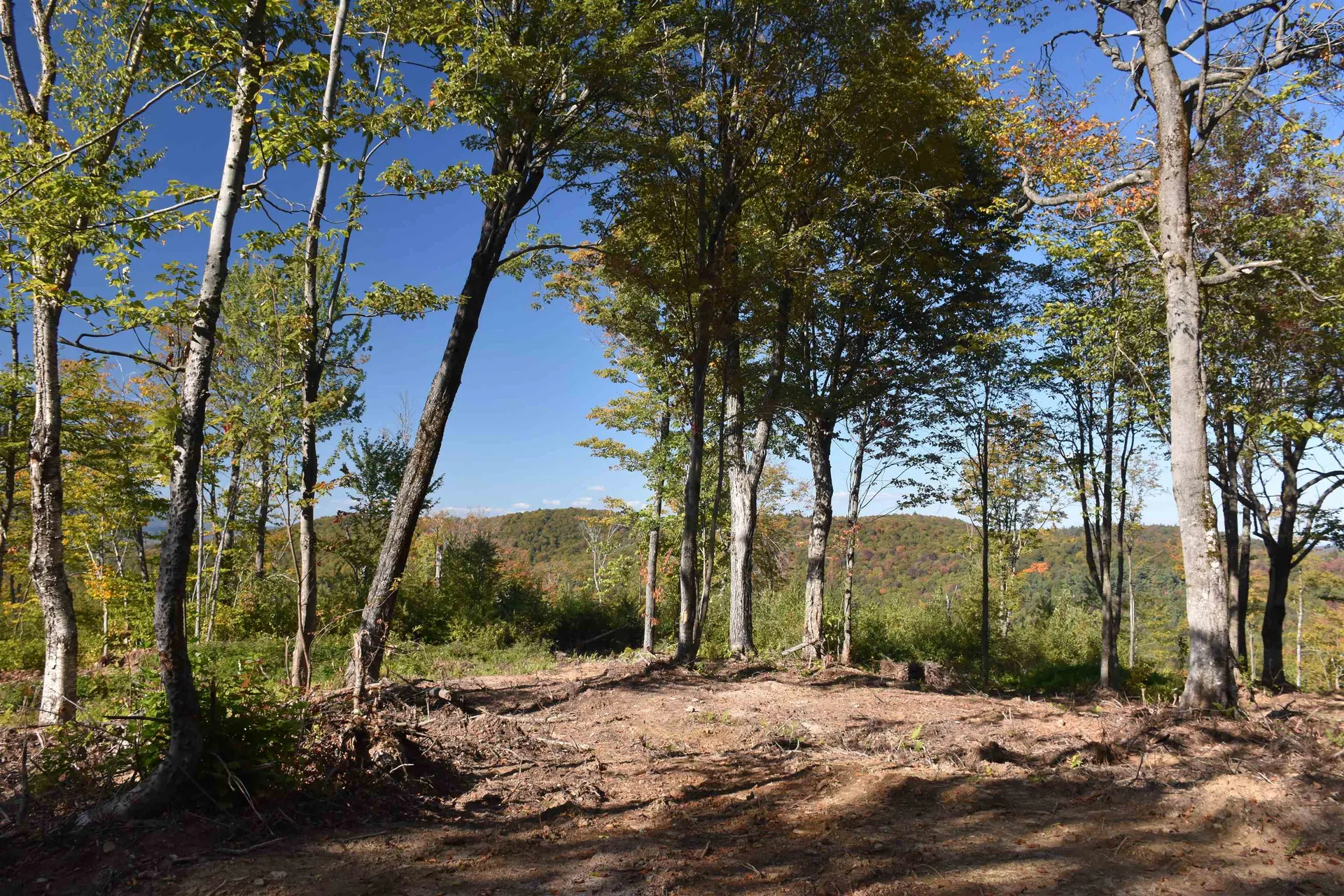 662 Belcher Road Roxbury VT 05669