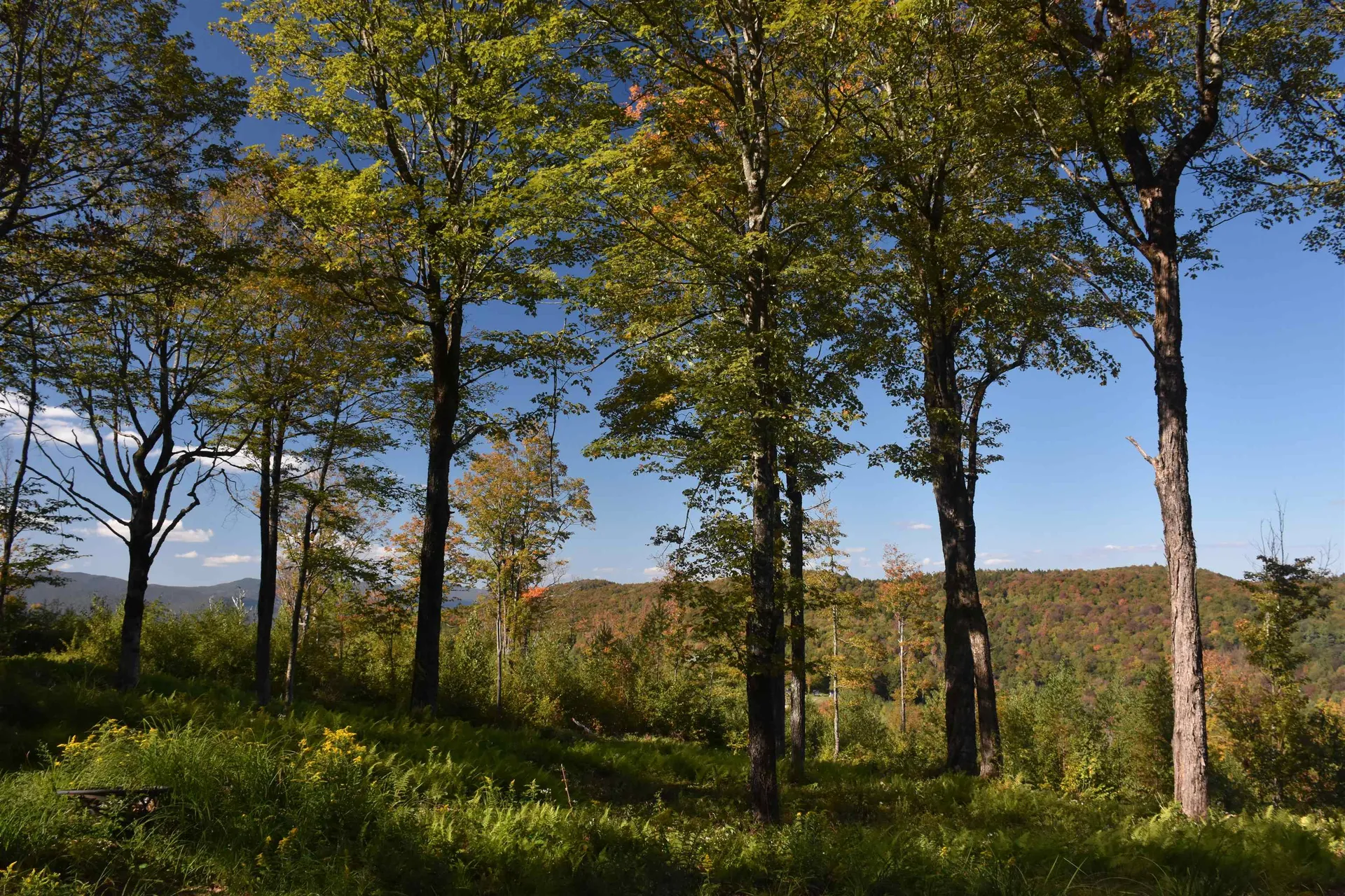 662 Belcher Road Roxbury VT 05669