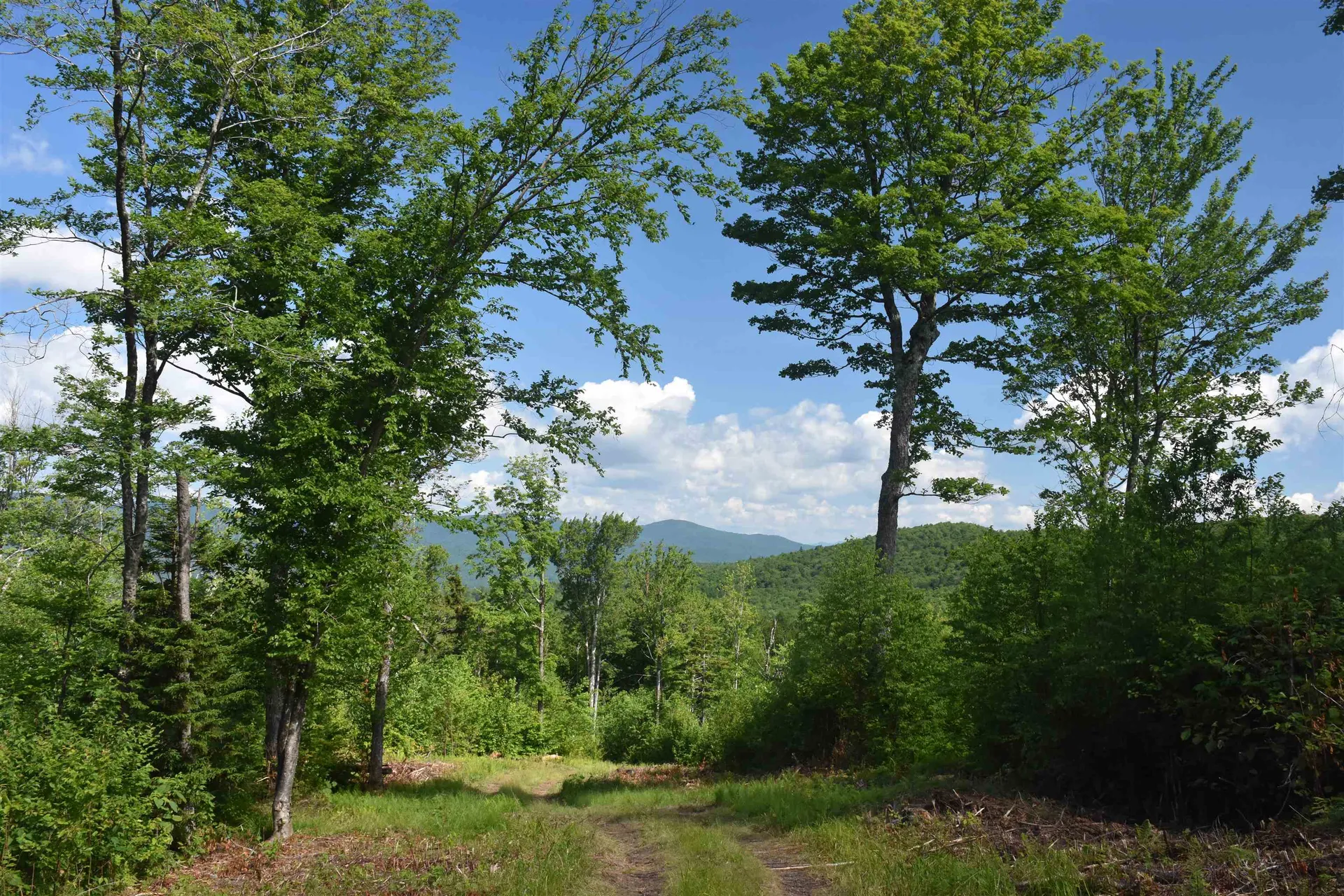 662 Belcher Road Roxbury VT 05669
