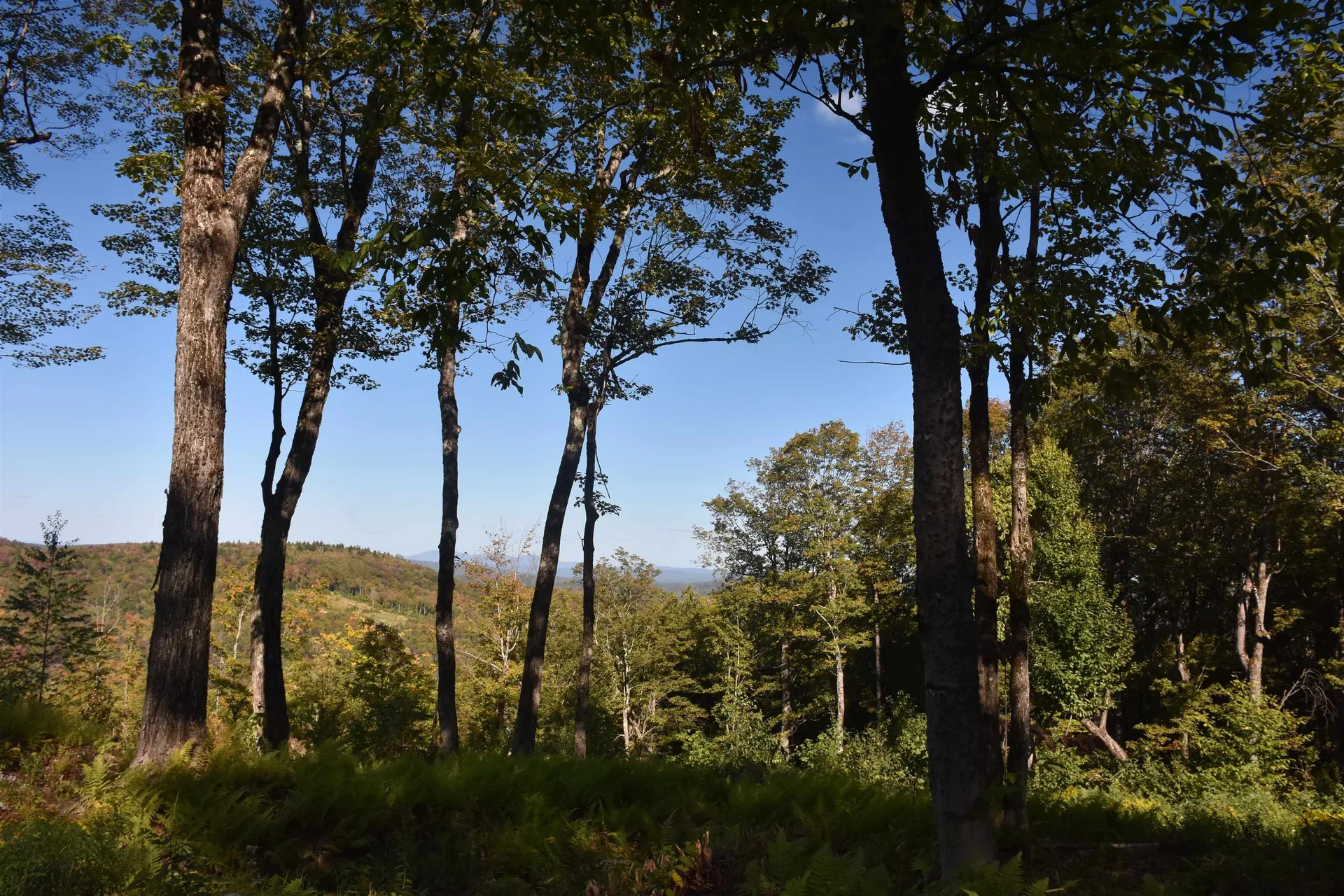 662 Belcher Road Roxbury VT 05669