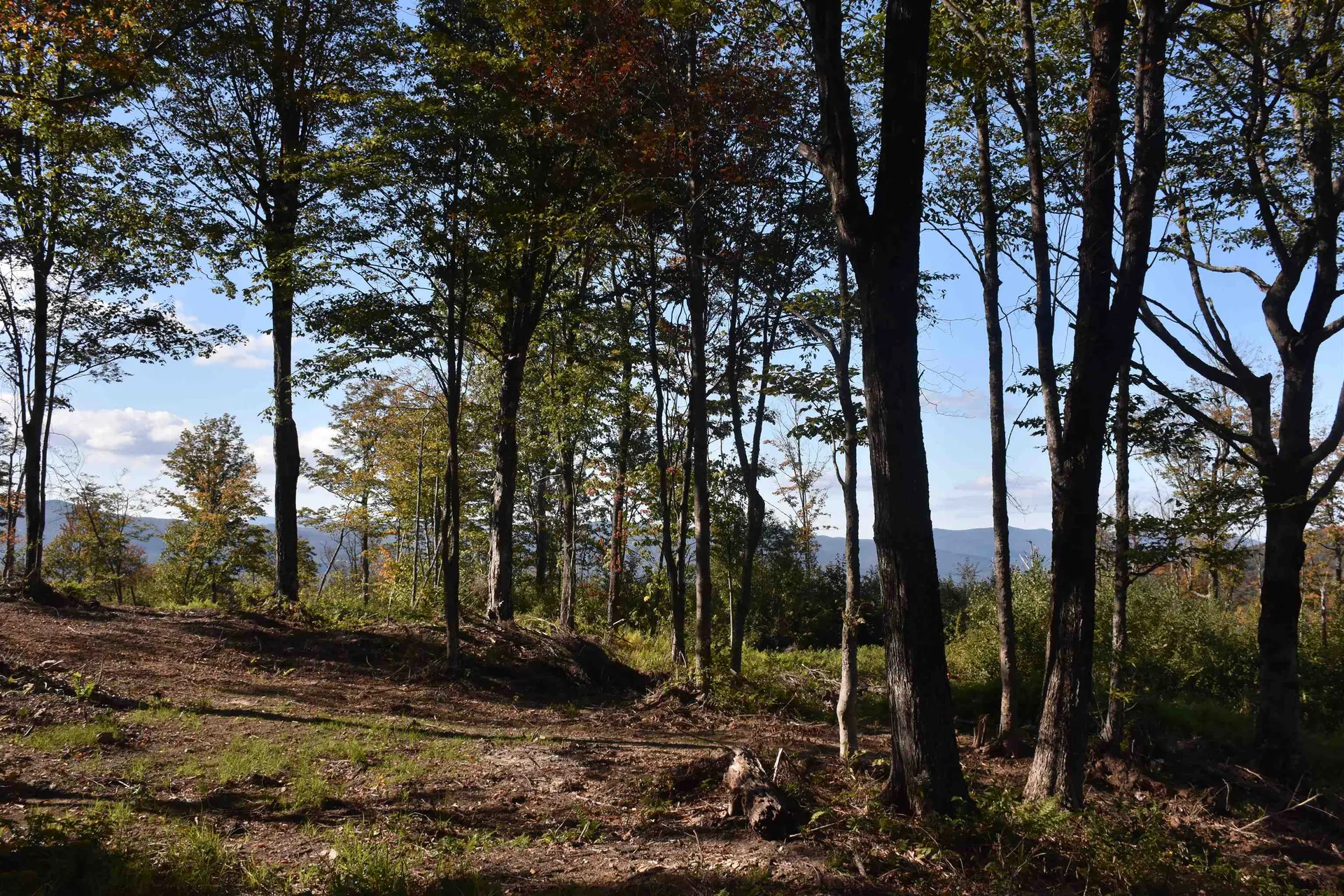 662 Belcher Road Roxbury VT 05669