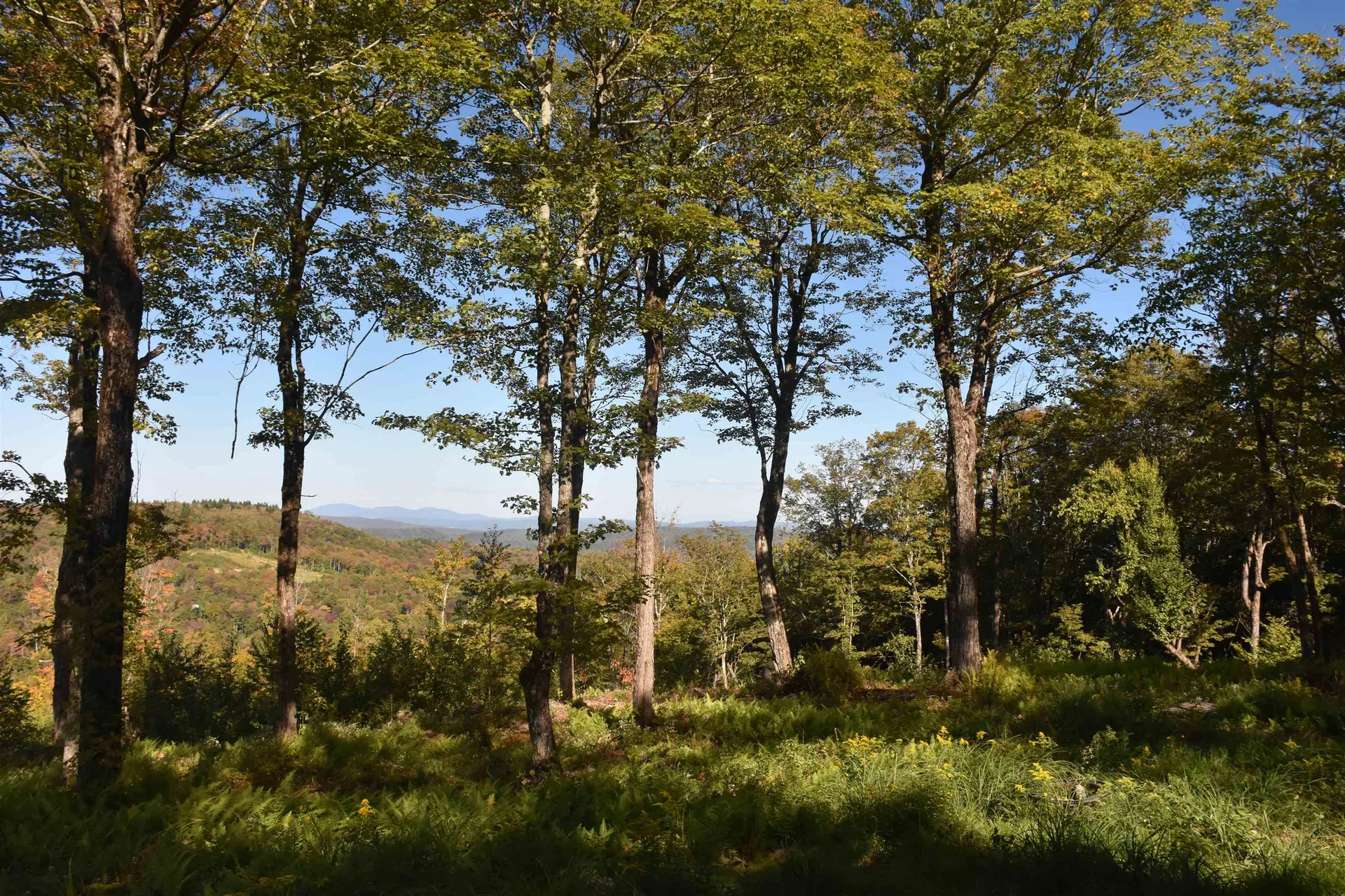 662 Belcher Road Roxbury VT 05669