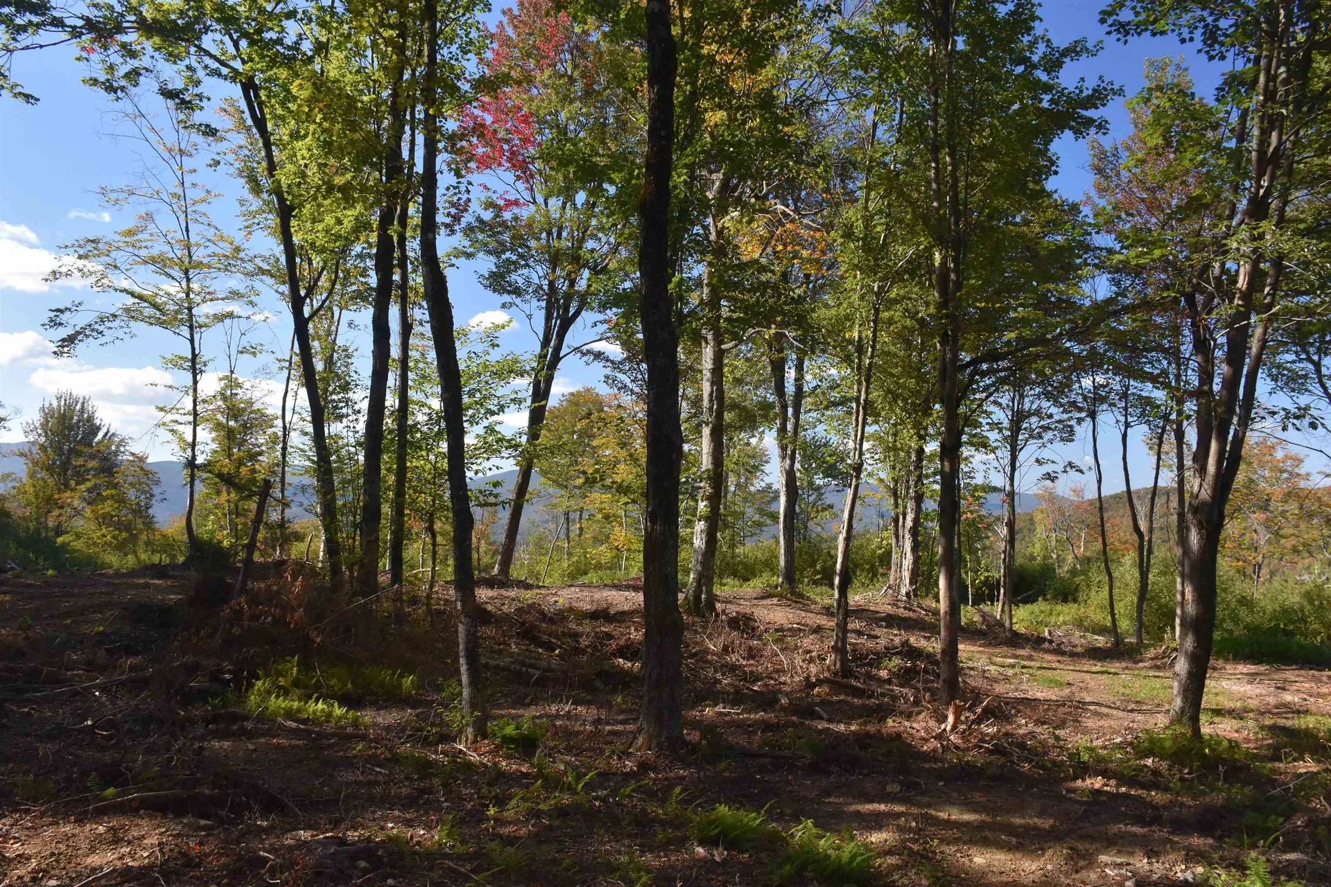 662 Belcher Road Roxbury VT 05669