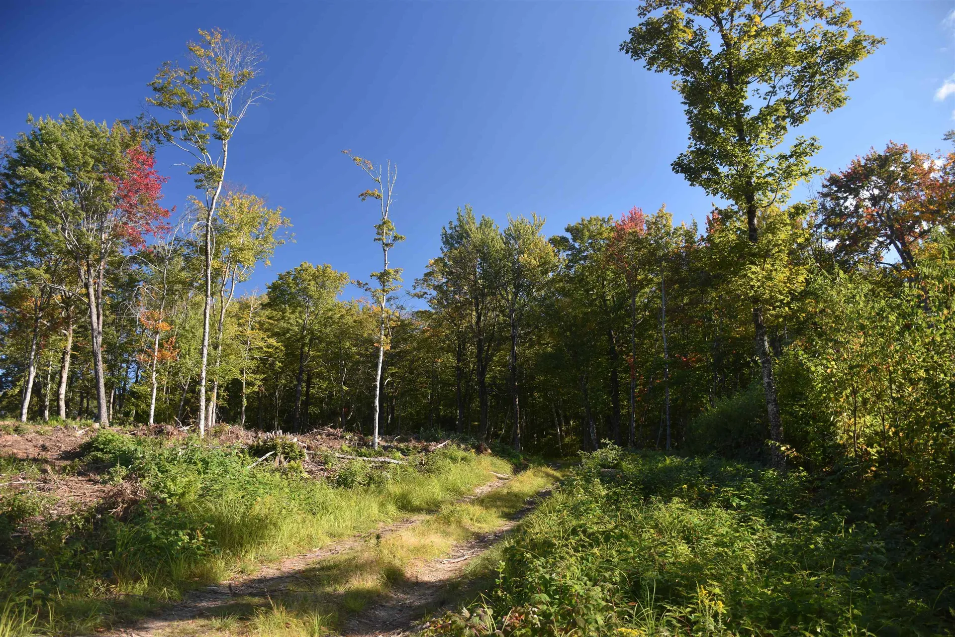 662 Belcher Road Roxbury VT 05669