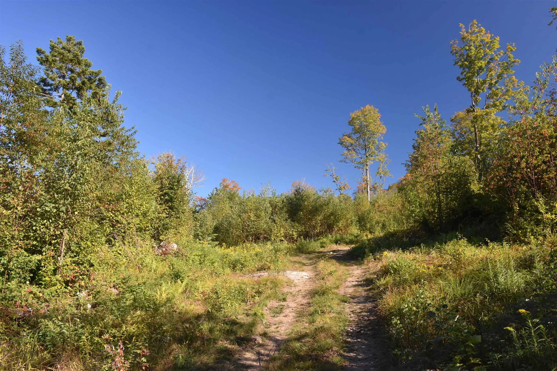 662 Belcher Road Roxbury VT 05669