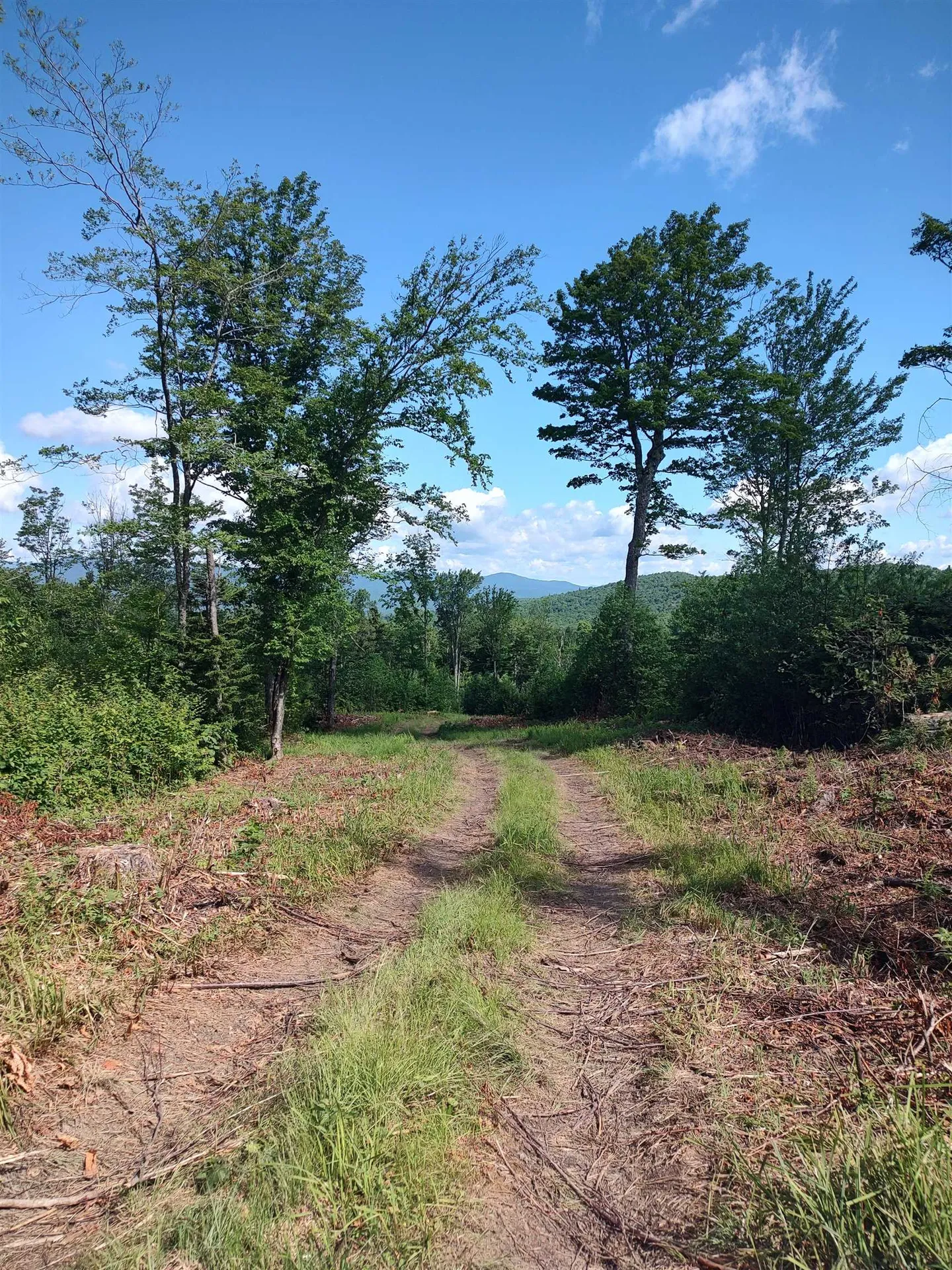 662 Belcher Road Roxbury VT 05669