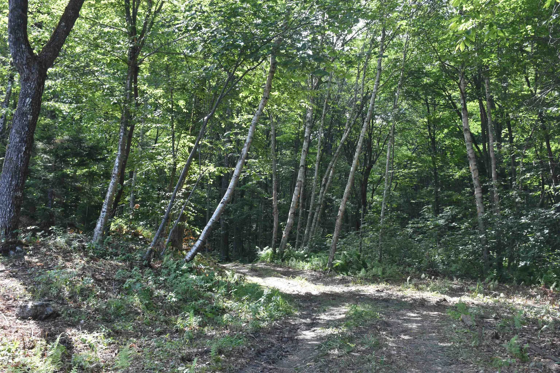 662 Belcher Road Roxbury VT 05669
