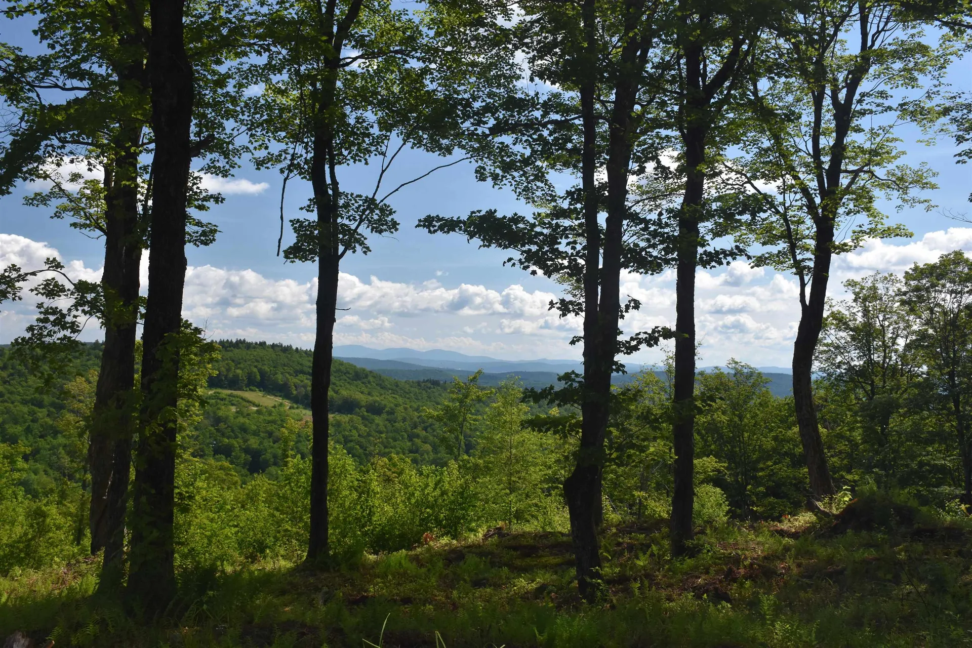 662 Belcher Road Roxbury VT 05669