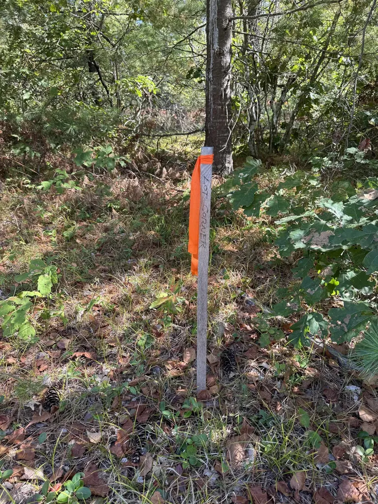 5-11 Friedman Lane Freedom NH 03836