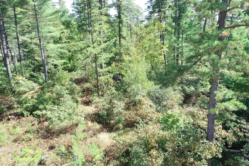 5-11 Friedman Lane Freedom NH 03836