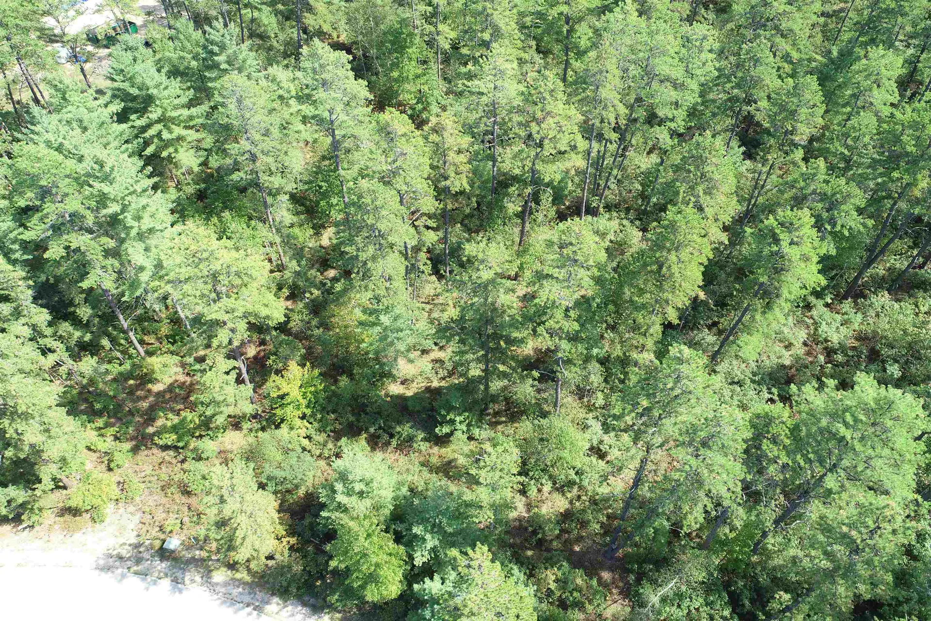 5-11 Friedman Lane Freedom NH 03836