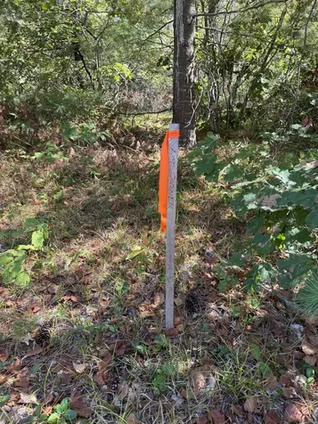 5-11 Friedman Lane Freedom NH 03836