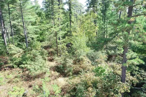 5-11 Friedman Lane Freedom NH 03836