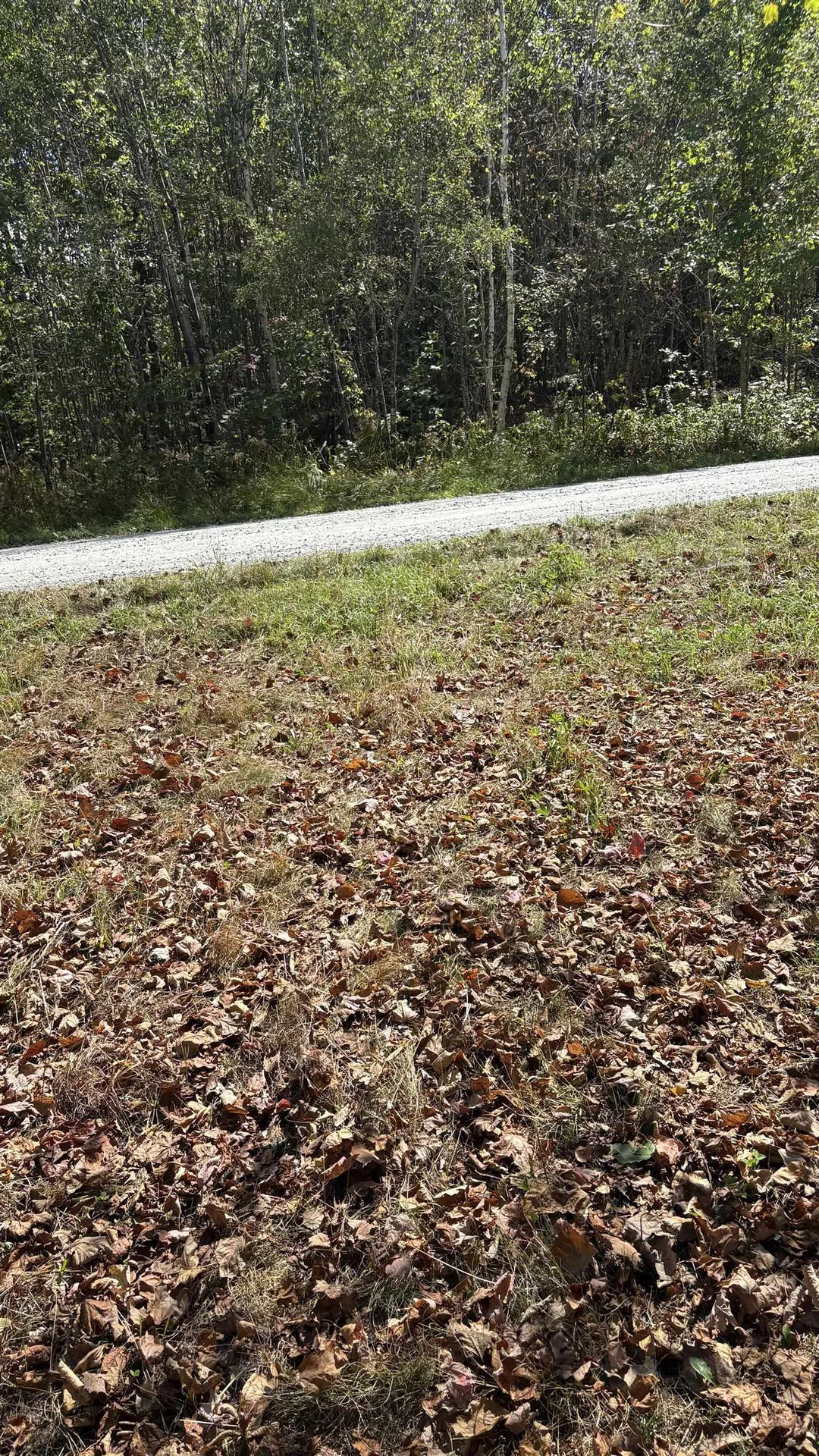 11 Summit Drive Franconia NH 03580